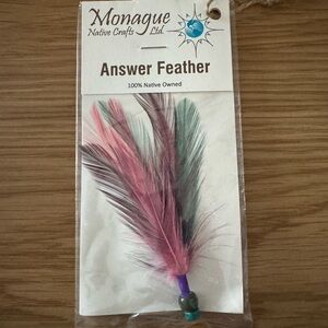 Pink and Green Feather Accessory